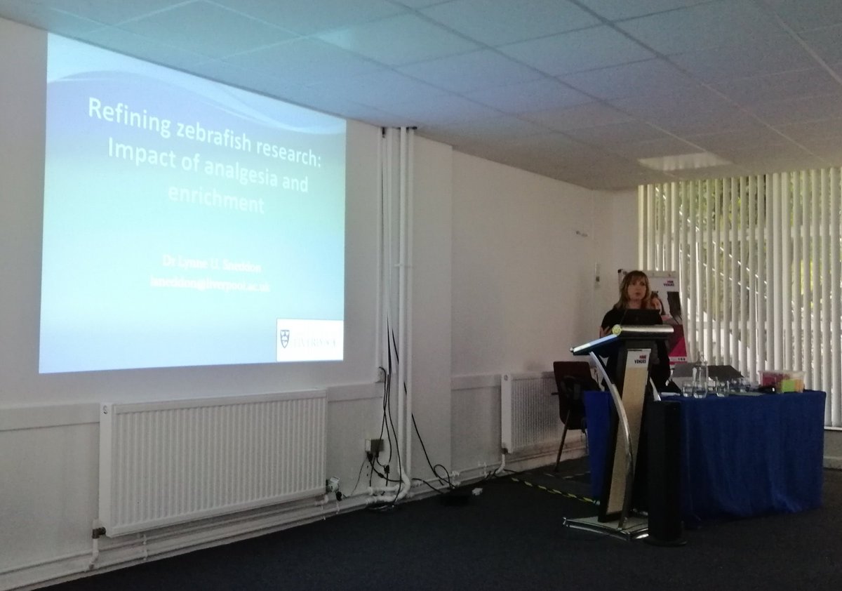 AaronJonScott's tweet photo. Our @NC3Rs plenary speaker @LynneUSneddon takes the stage at #SWZM19
Time to look at the impact of analgesia & enrichment in zebrafish research
#welfare #husbandry @ZHAonline https://t.co/mbyzINxki6