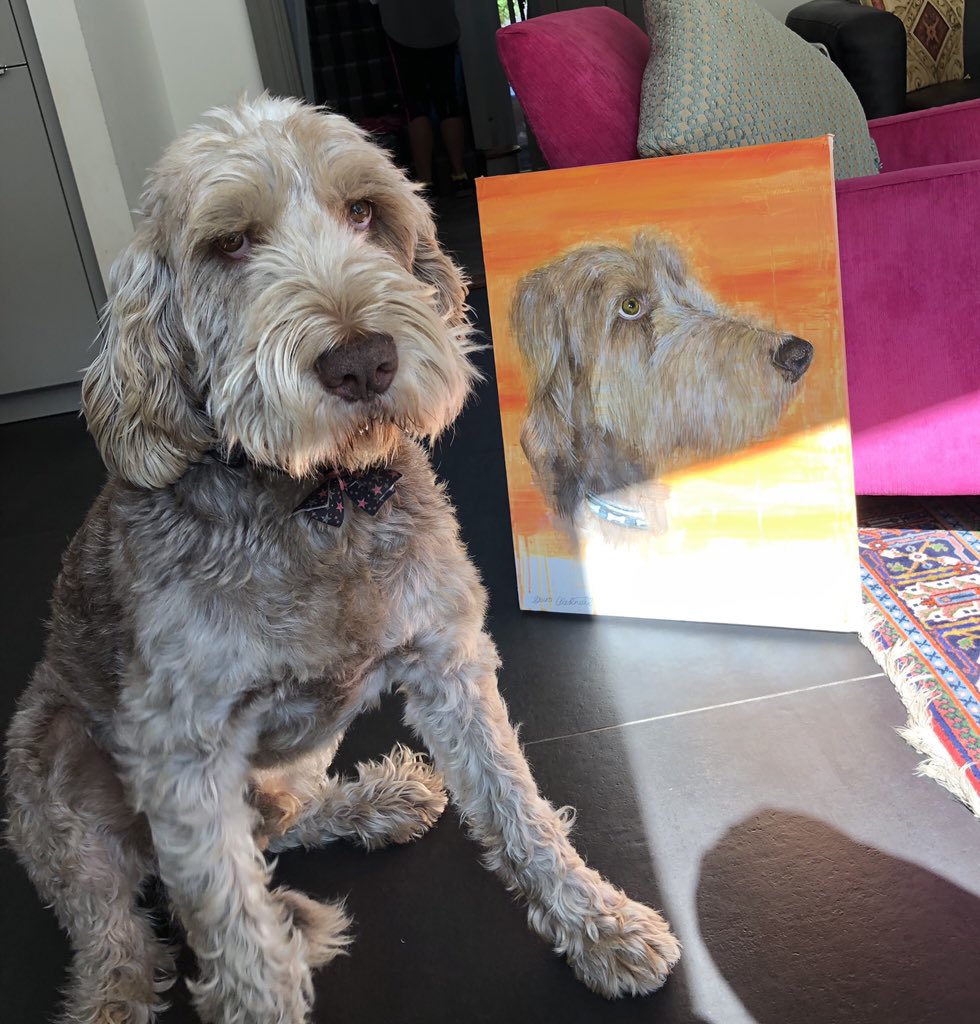 ruby_hopkins's tweet photo. Think my mum and dad are too obsessed with our dogs https://t.co/oD3drj1KlB