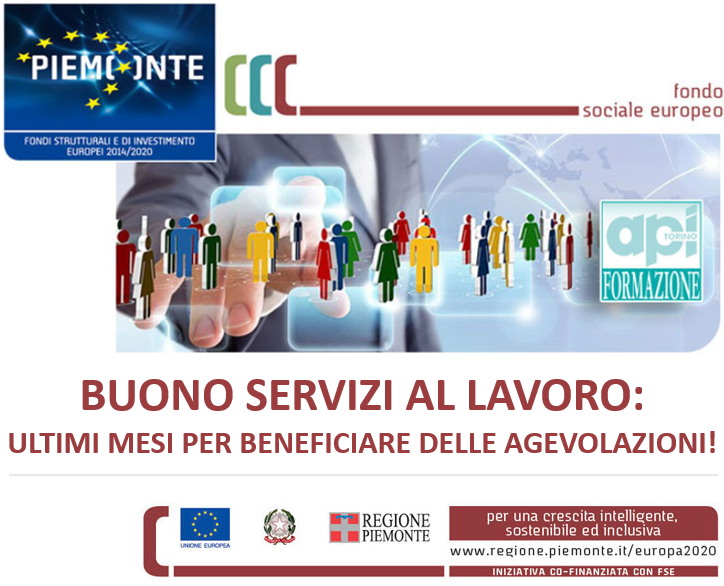 api.torino tweet media