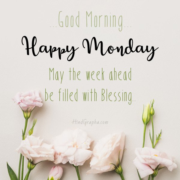 dovecart's tweet photo. Happy Monday! 🙂 https://t.co/35dA0d9Dof