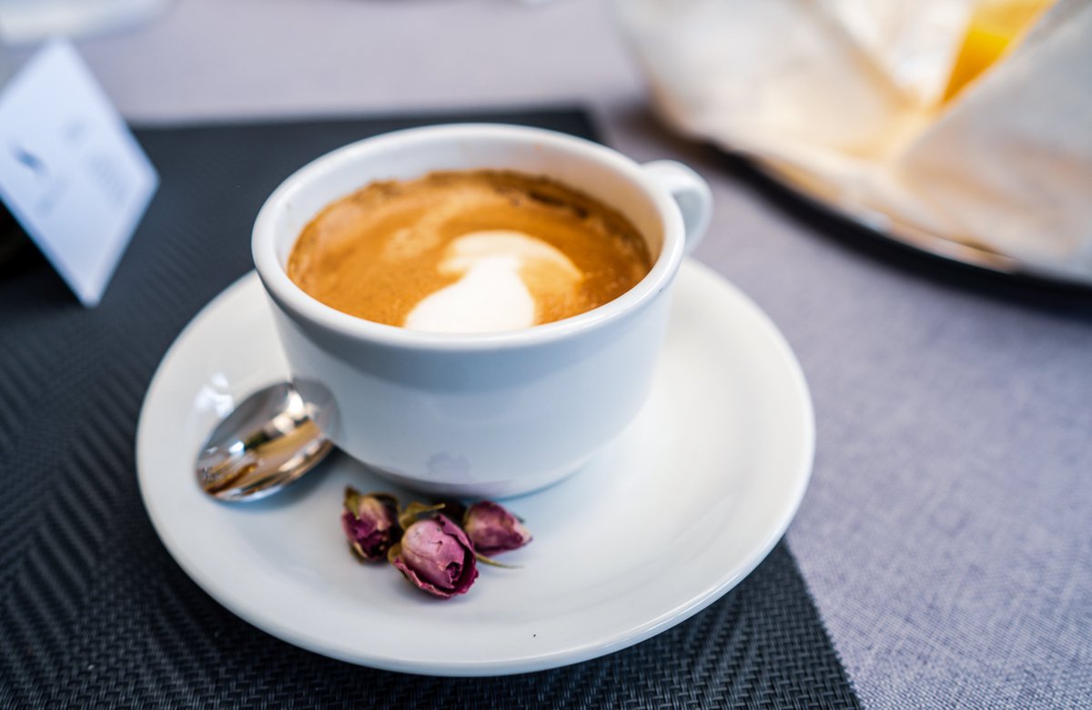HotelSplit's tweet image. Today is one of those days, that our coffee needs coffee

#monday #mondaymotivation #croatiafulloflife #podstrana #split #boutiquehotel #greenhotel