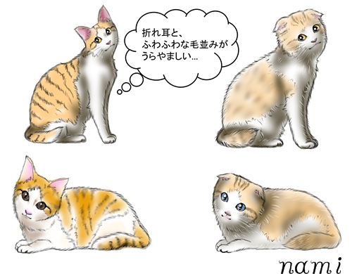 Share Mie ネコ癒し工房 スコティッシュフォールド 猫のイラスト 愛猫をスコティッシュフォールドに大変身 折れ耳とフワフワ イラストレーターさん T Co 1az4znhzvr ブログ T Co Obwsme3h9n 猫 イラスト スコティッシュ