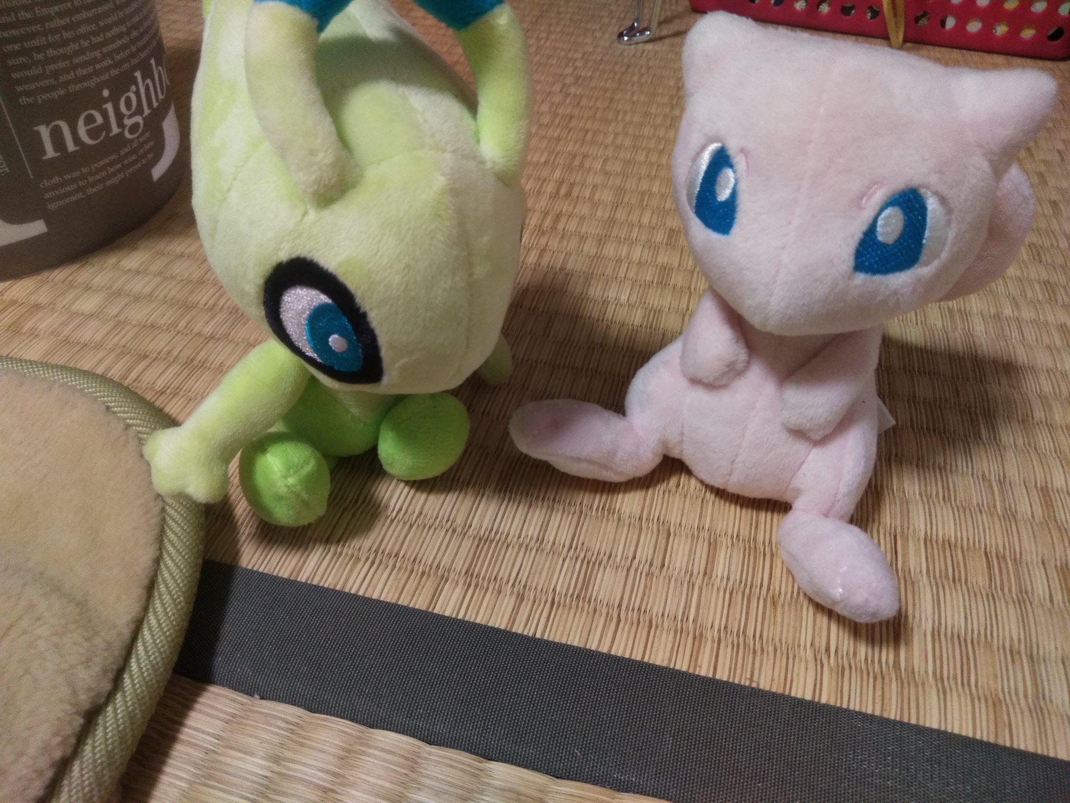 セレビィ Celebi My251 Twitter