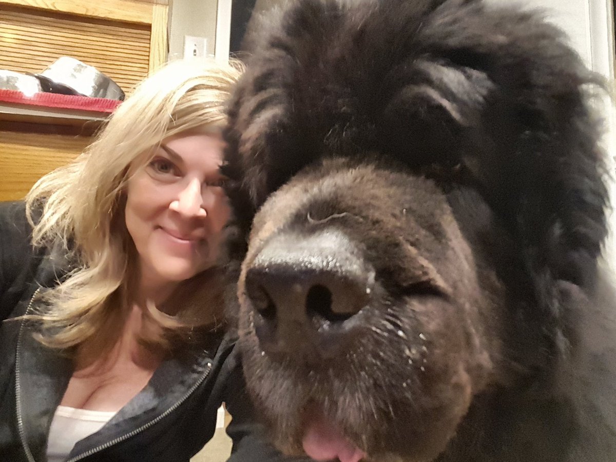 yellowlablover's tweet photo. #thatswhaticallbighead #biggesthead #lovemesomehead #bigblack #head #hashtaggames
#onthisday ..
#ollie #rescuednewf #newfie #newf #newfoundland #newfy #gonebutneverforgotten🌈 #amazingfriend #wantittostop #hurting #ilovedhimsooomuch #doggo
#grief #LIFEEVENTS #newfloss https://t.co/bCLg0E30XD