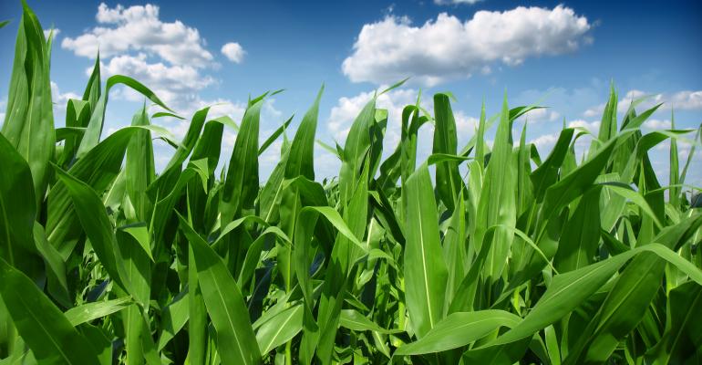 Farm Futures tweet media