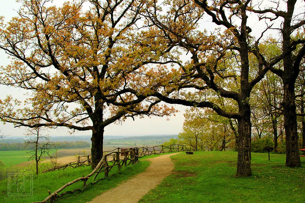KjpPhotography's tweet photo. On top of the #bluff at #MagnoliaBluff #EvansvilleWisconsin #RockCountyWisconsin #CanonFavPic #CanonBringIt #Photography #LandscapePhotography #ThePhotoHour #woods #nature #trees #Wisconsin https://t.co/LQa2SJEUI1