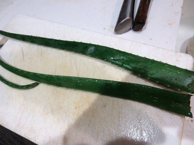 台風で折れたアロエ。無駄にはできない…揚げて食べます。剥いたら何コレ…ヌメヌメが完全にローションじゃん。一人ソープごっこ('ε` )味はニガイ。旨味なしでした 