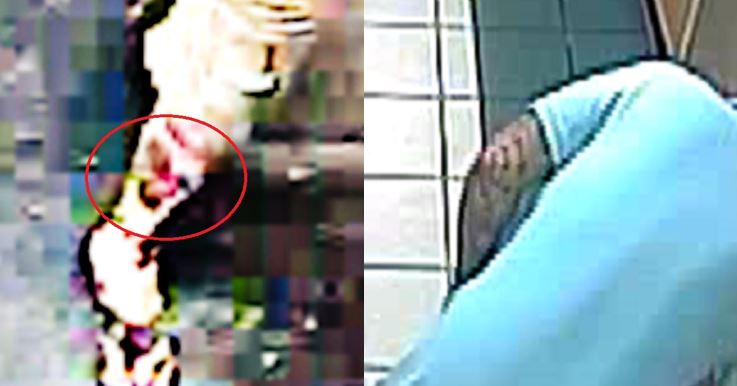 Clearwater Police Department tweet media