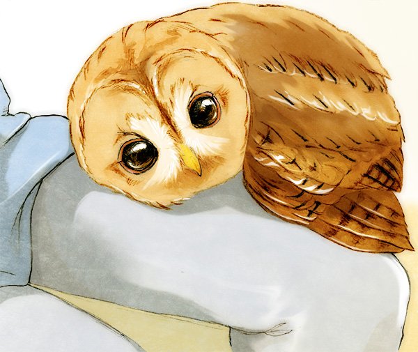 「ㅤ🦉  三   🦉  三  🦉
///        \\\
 🦉  \」|永田 鵄のイラスト