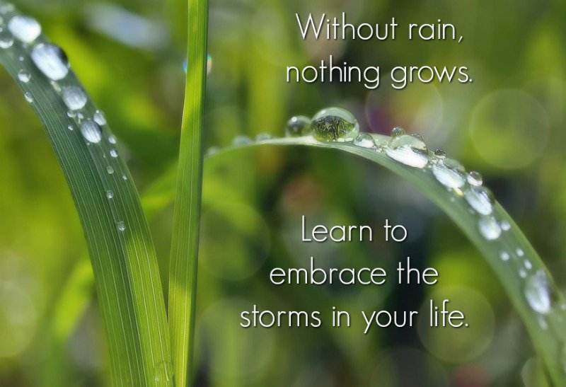 SCC_Omaha's tweet photo. On this rainy Monday let this be your motivation.

#MotivationMonday https://t.co/ZyJmUq5nI4