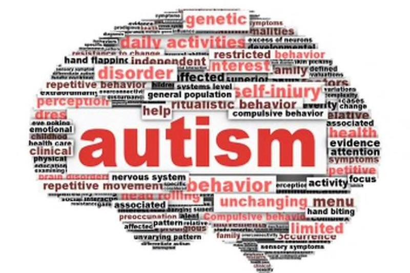 lahman_kimberly's tweet photo. What factors influence the development of autism? #RHSBMS #CuriosityQuestion https://t.co/W83XeAHgfe