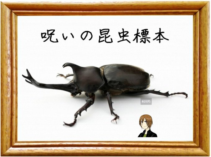 昆虫標本のtwitterイラスト検索結果 古い順