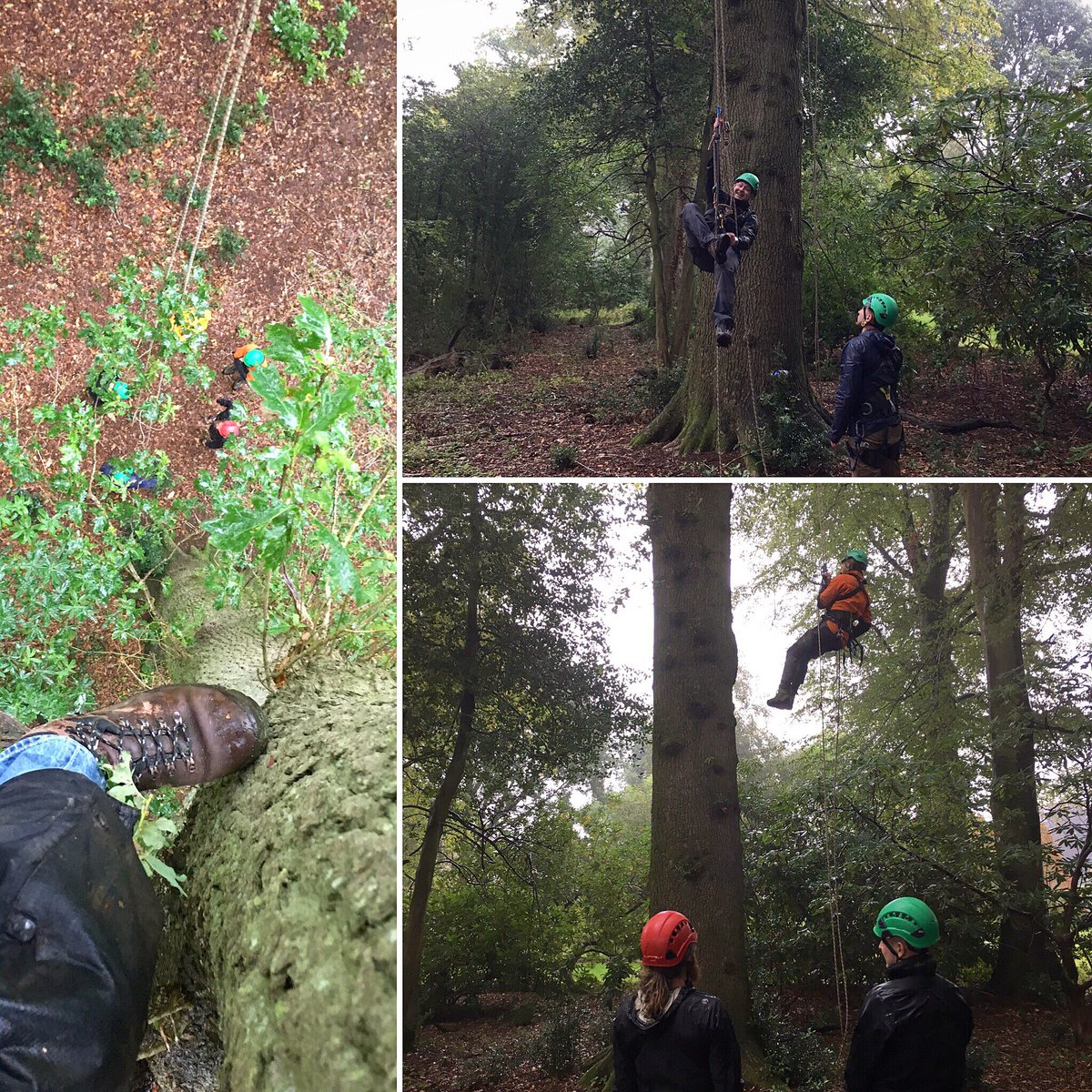 A rather damp start to our <a href="/canopyaccess/">Canopy Access</a> tree climbing course at <a href="/ntstourhead/">Stourhead</a> this morning. Still beautiful though. Autumn has arrived... #WetterThanAnOttersPocket #stourhead #NationalTrust #TreeClimbing #CanopyFun #CanopyAccess #Arborist #Arboriculture #Forestry #Training
