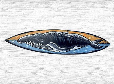 GHResortStAug's tweet photo. Online bidding is now open for all of these beautiful local artist-painted surfboards that will ultimately be auctioned off at the Pups &amp; Sups Dog Surfing Weekend coming up Sept 27. All proceeds will benefit K9s For Warriors! Bid here: https://t.co/ClJHerHG6D https://t.co/sYRotAyVwU