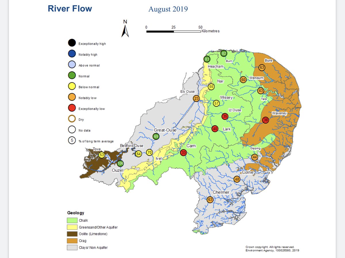 WO & PO Jolly tweet media