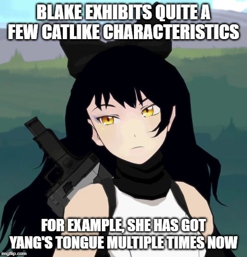 Blake Belladonna (@shrouded_faunus) on Twitter photo 