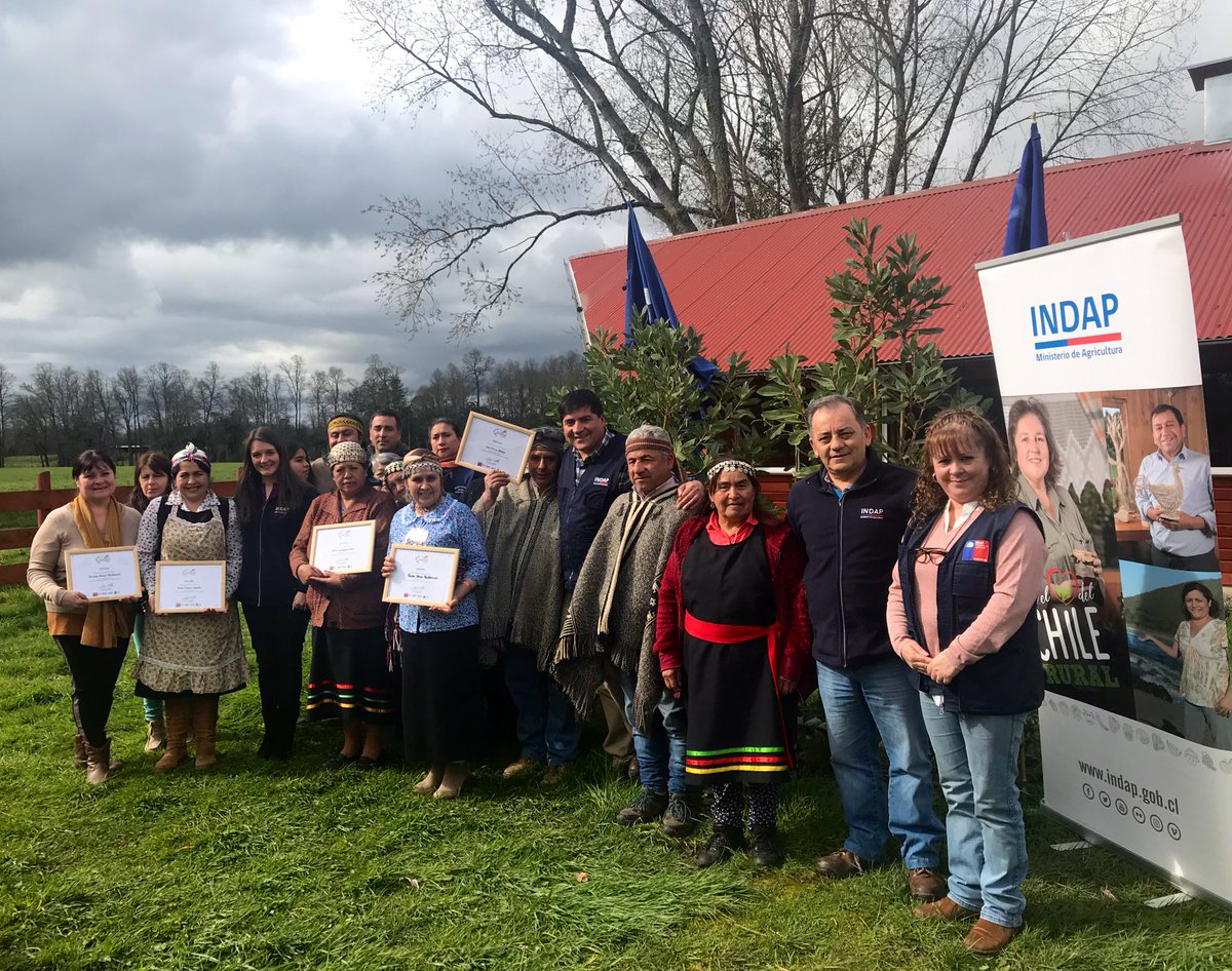 INDAPLosRios's tweet photo. En #Champulli #RíoBueno, el DR @jmarceloramirez y Alcalde @muniriobueno, Luis Reyes lideraron la certificación y presentación de los 6 usuarios @INDAP_Chile que asistieron a al VII Congreso Mundial de la Quinua, quienes adquirieron conocimiento y experiencia del superalimento🌾 https://t.co/m3w0FjjaY8