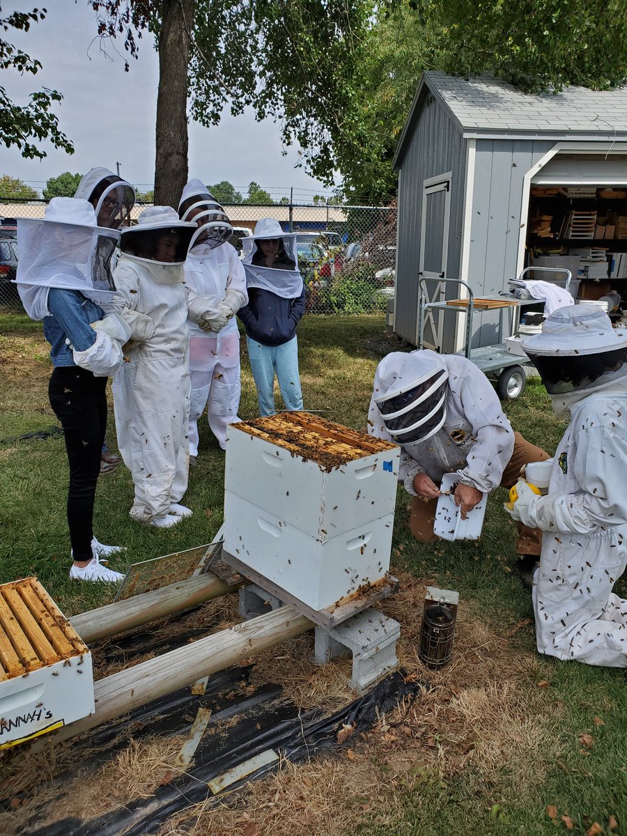 Hive inspection day!  <a href="/ChefLiddick/">Margie Liddick</a>,  <a href="/ChefTaulton/">Zachary Taulton</a> and bee mentor, Dave Maloney helped as we introduced a new group of students to the hives on campus. We inspected all 6 hives and did a mite test on 4.  Hives look good as they prepare for fall, mite counts within the threshold.