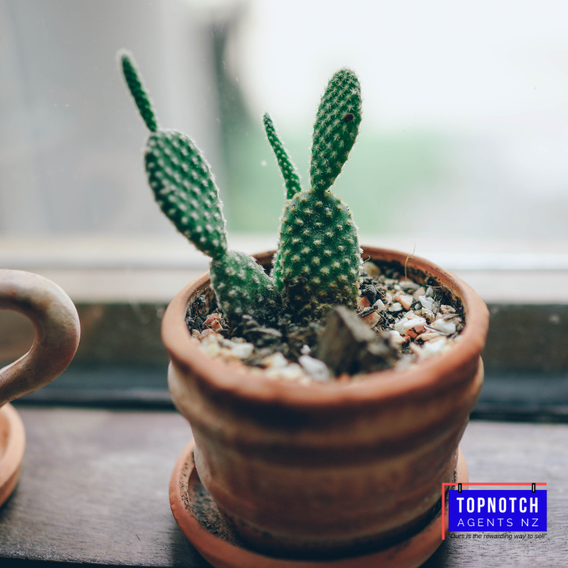 We will identify the best Agent in your area, ideally suited to market your property. They will have met all our strict criteria as listed below. topnotchagentsnz.co.nz/how-do-we-do-it