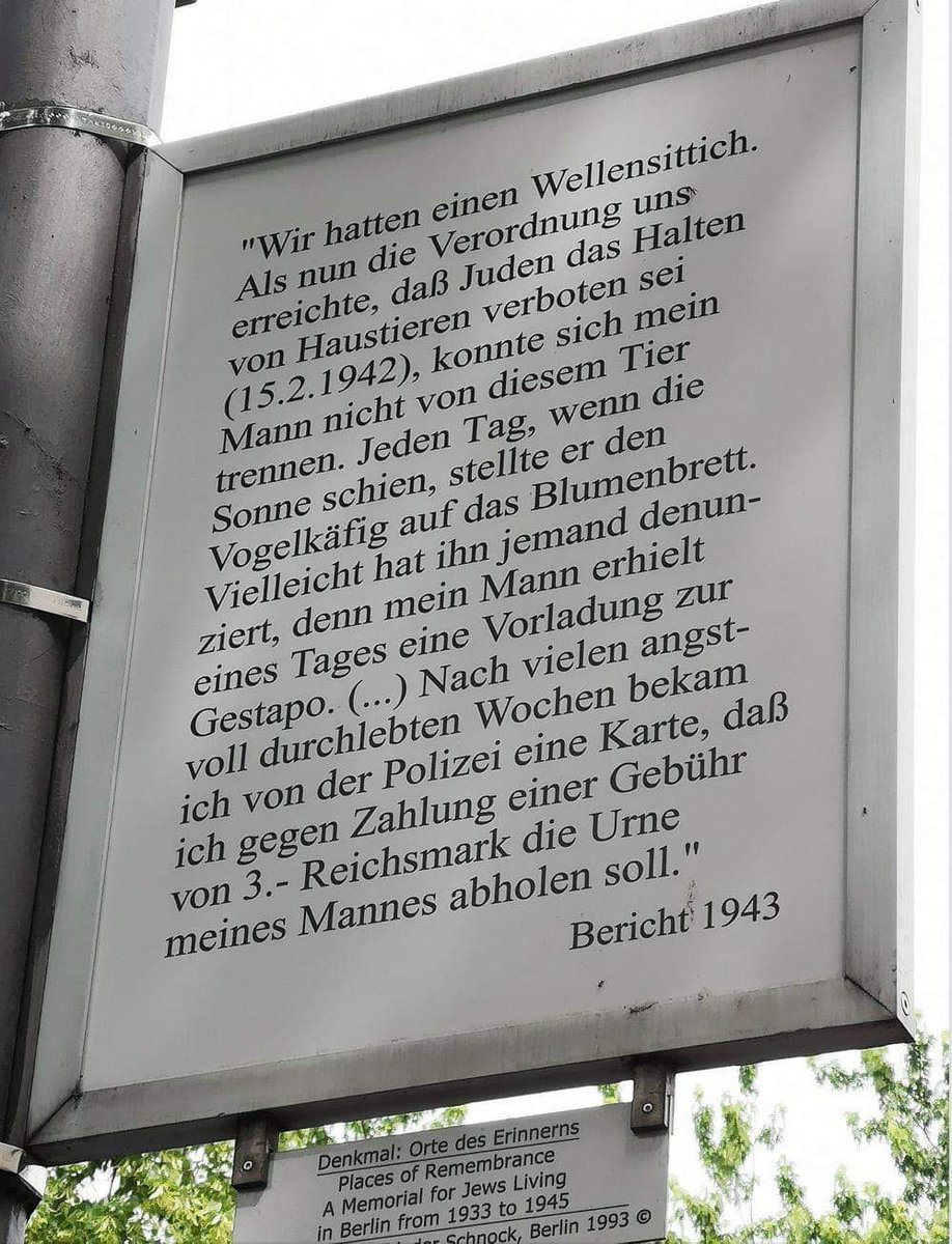 ImMartinaWiemer's tweet photo. Niemals wieder ... 🙏🙏
Nie vergessen ... 🙏🙏

Never again ... 🙏🙏🙏
Never forget ... 🙏🙏🙏

#FCKNZS 
#fckafd
#fuckracism
#fuckhatred https://t.co/PCIZz2GCTN