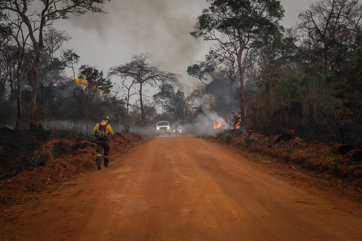 armeedeterre's tweet image. Les unités d&apos;instruction et d&apos;intervention de la sécurité civile #UIISC sont des unités de l’@armeedeterre mises pour emploi auprès du ministère de l’Intérieur @Place_Beauvau. Une de leurs spécialités est de lutter contre les feux de forêts, comme 👉 en Bolivie
#ActForAmazonia