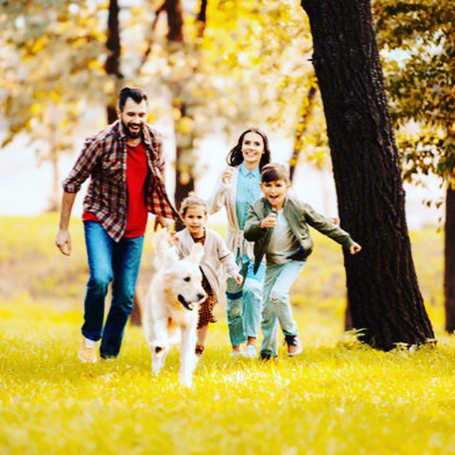 ⭐️ 2 Huge Ways To Save On Childcare Costs ⭐️
Get your hourly rate down to $12/hour in some areas 💰💰💰
nannypod.com/dcfsa-childcar…
#NannyPod #ChildcareTaxCredits #DCFSA #ChildcareExpenses #ChildcareCosts #HowToSave #TaxCredits #DependentCareFSA #nannyagency #nanny #sitter