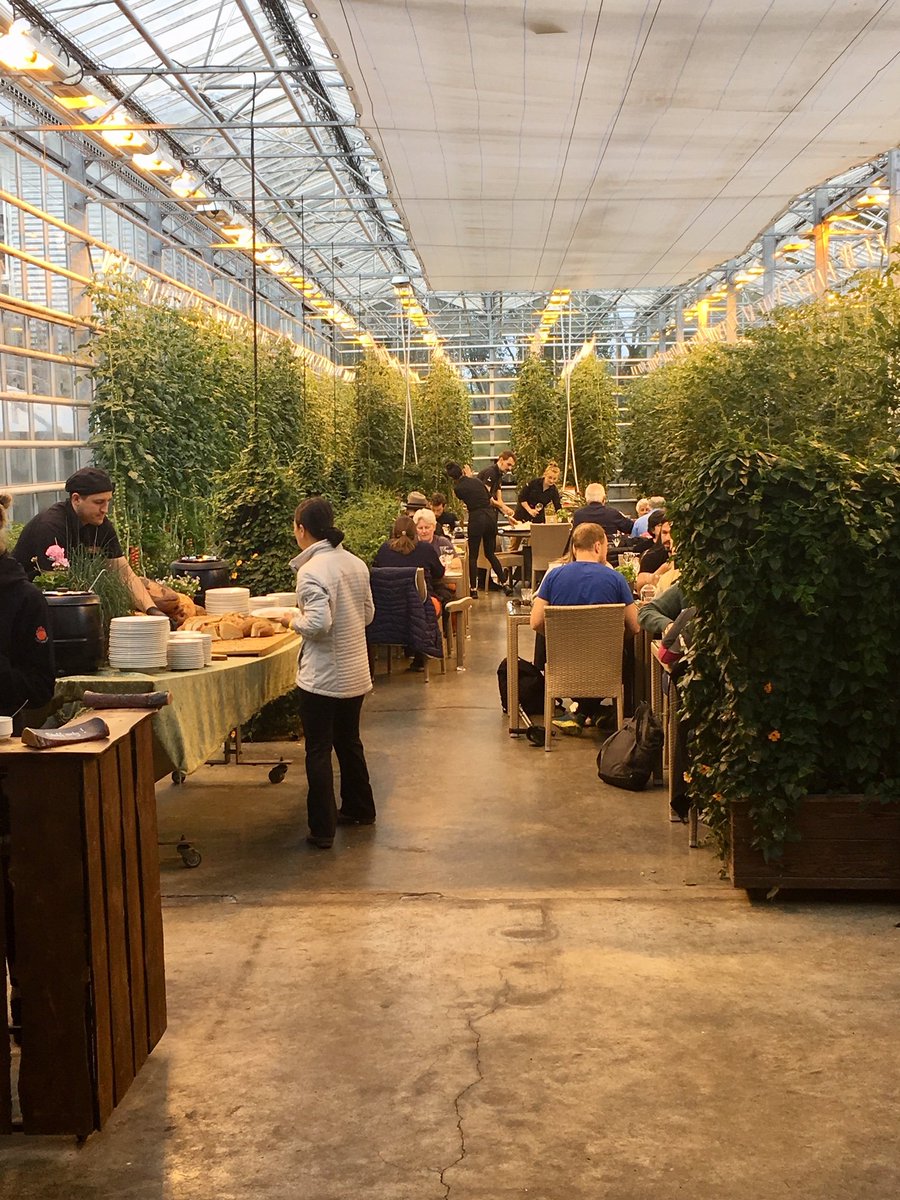 NGIF_UK's tweet photo. NGIF staff visited #Friðheimar 🍅greenhouses in #Iceland🇮🇸 this week - geothermal heat, power and CO2 enrichment. #ECSMGE #Reykjavik post-conference field trip. Energy-SuDS research at NGIF #PLEXUS and #UrbanAgriculture inspired. https://t.co/EpRjXxIXLH