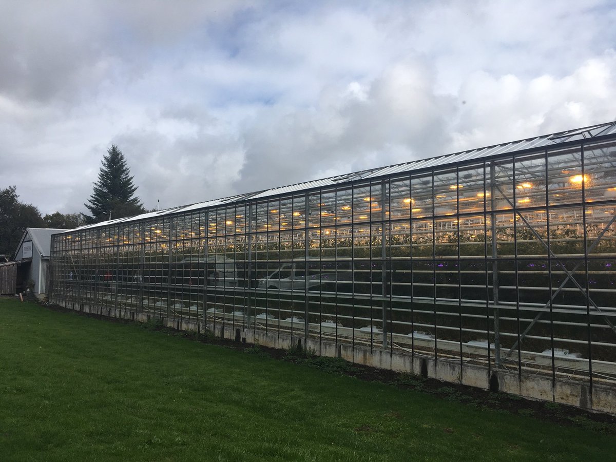 NGIF_UK's tweet photo. NGIF staff visited #Friðheimar 🍅greenhouses in #Iceland🇮🇸 this week - geothermal heat, power and CO2 enrichment. #ECSMGE #Reykjavik post-conference field trip. Energy-SuDS research at NGIF #PLEXUS and #UrbanAgriculture inspired. https://t.co/EpRjXxIXLH