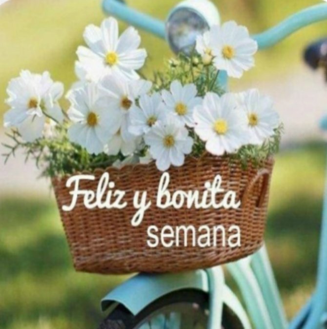 JACQUE ???????????? على X: "@VazquezDavil MUCHAS GRACIAS MANUEL ... LO MISMO PARA  TÍ ... QUE TENGAS UN MUY FELIZ LUNES Y UNA BONITA SEMANA !!! . SALUDITOS .  https://t.co/ThanhXvtdC" / X