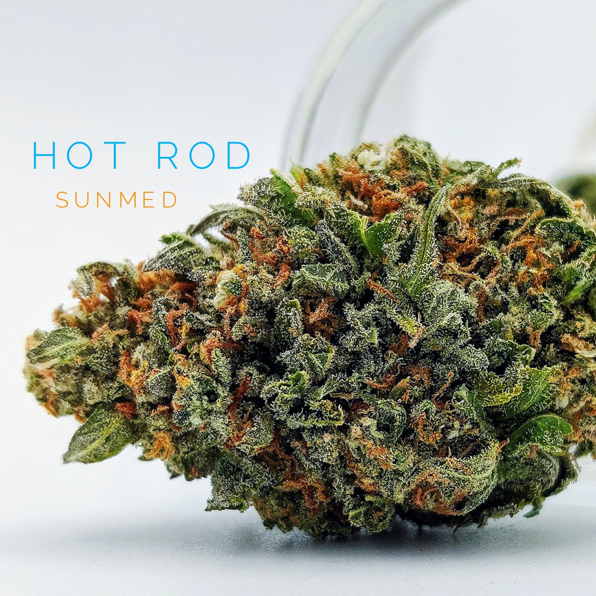 A Wild Ride with HOT ROD 🔥🌿 Powerful Indica Experience from SunMed 🌄 Growers Motorbreath x Grandpa's Breath 🌿 Medicine From The 🌞 Sun - Hits Hard and Lingers Awhile 👌 26% Total Cannabinoids #MedicalMarijuana #medicalcannabis 18+ and MD Patient Card Holder
