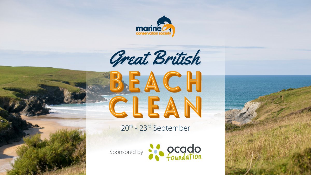 It's less than 2 weeks to go till the #GreatBritishBeachClean. Join us at the coast this Sept 20th-23rd and help us keep our beaches beautiful! 🌊

Find an event near you and sign up here 👊 --> mcsuk.org/greatbritishbe…