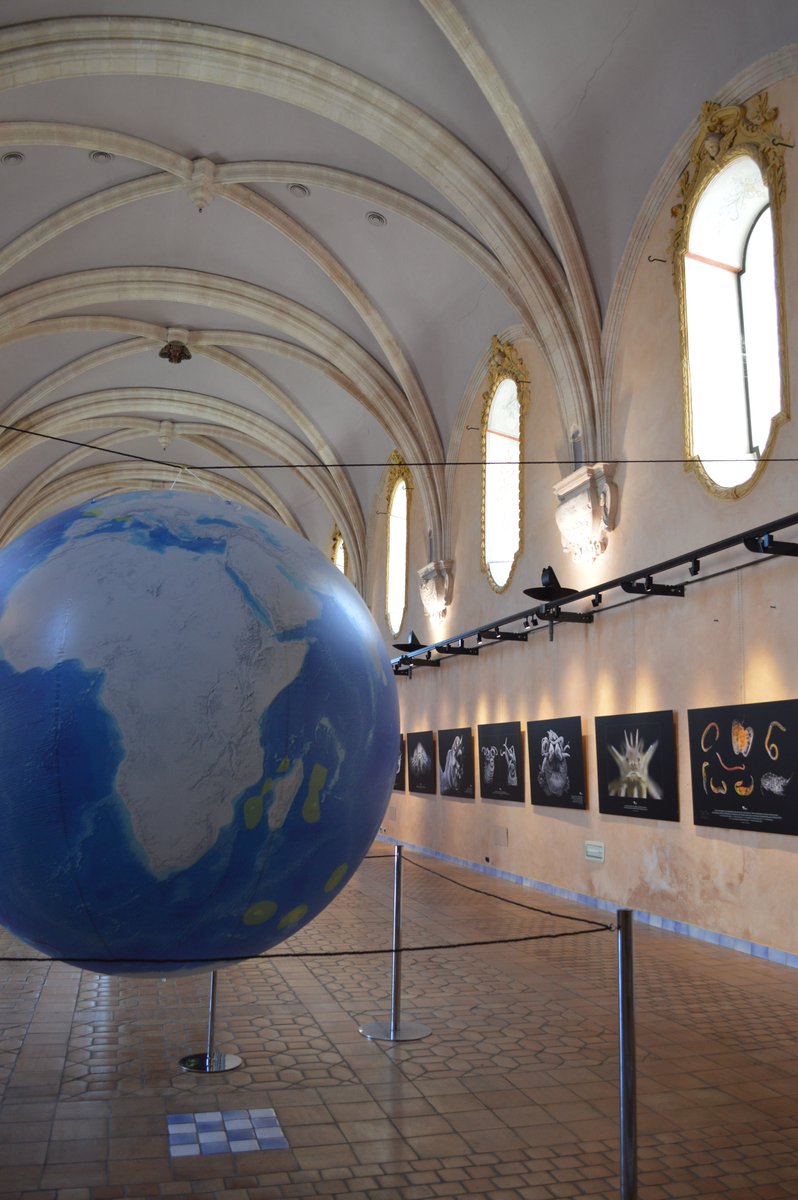 Ifremer_fr's tweet photo. Le festival #Lumexplore, c'est pour bientôt ! Notre toute nouvelle expo "Secrets des abysses" est fin prête à la Chapelle des Pénitents de La Ciotat. Visible du 11 au 15/09 https://t.co/oAOZLhNj23