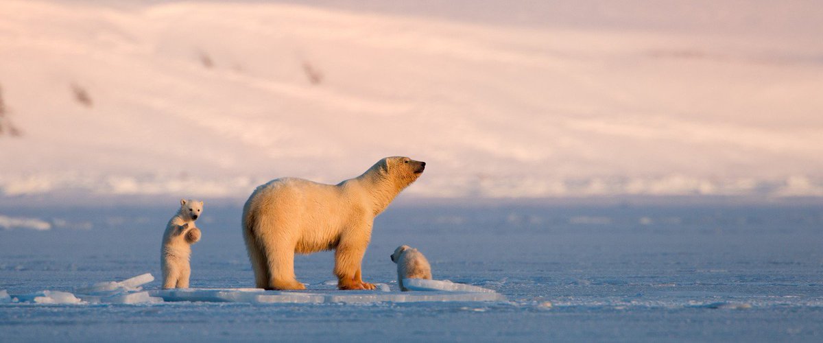 We are delighted to be welcoming multi-award-winning Asgeir Helgestad of <a href="/Articlightfilm/">Asgeir Helgestad</a> and Catherine Prowse to HIFF 2019, where they will be giving masterclasses at @anlanntair in their art. A must for anyone interested in filmmaking! Thanks <a href="/HIEScotland/">HIE</a> for making it possible.