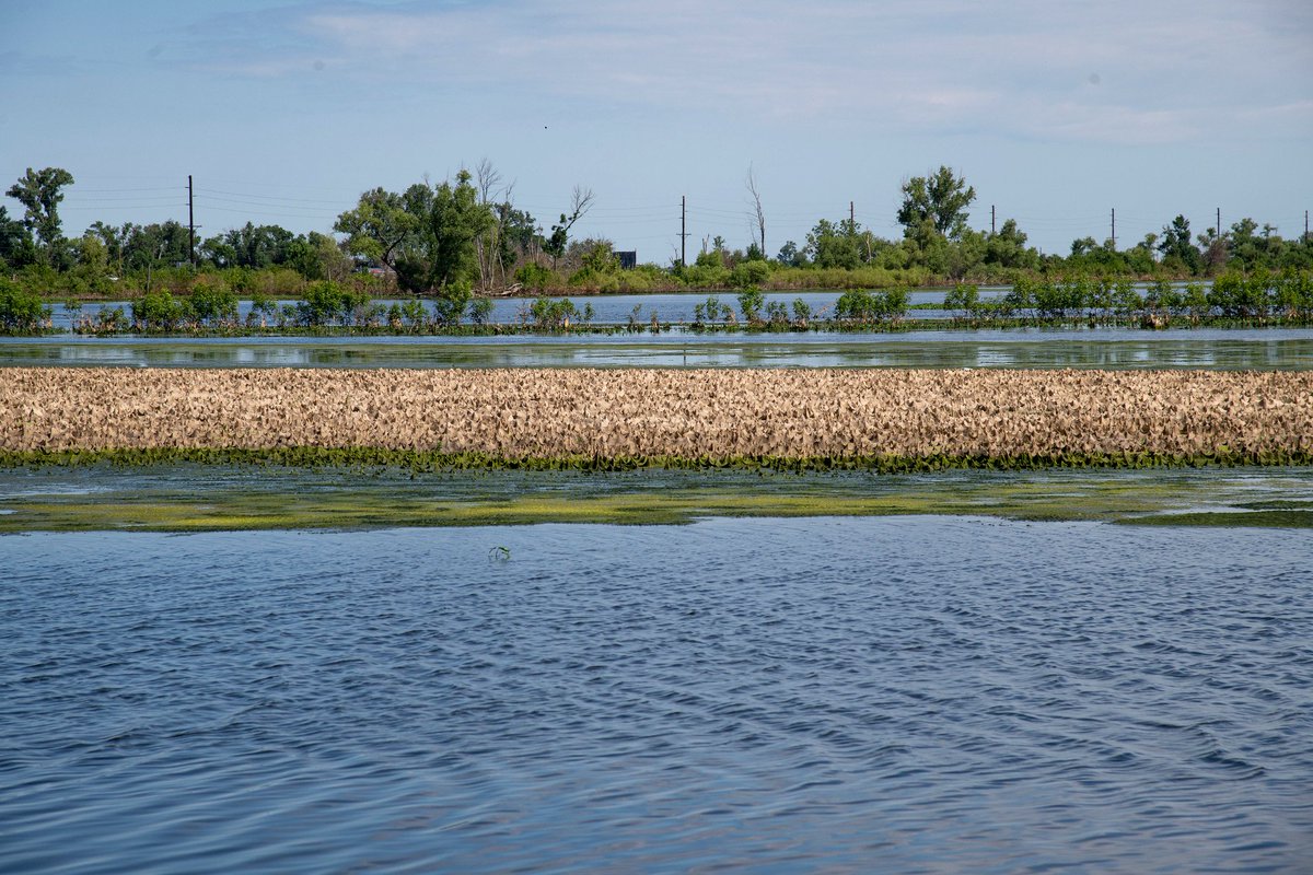Flood waters in farm fields, 12 miles north of Council Bluffs, IA, on June 24, 2019. USDA photo by Lance Cheung.