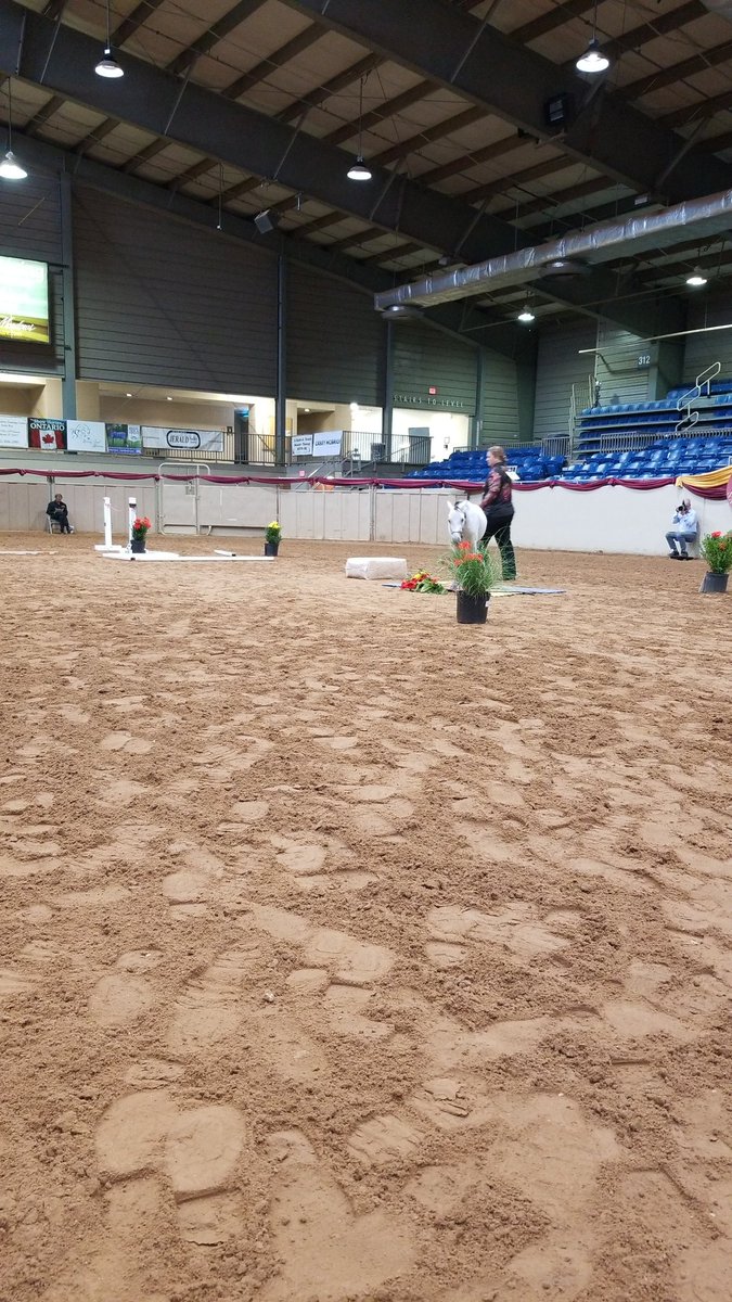 Ametuer obstacle AMHR NATIONALS. Ah the flowers are for you