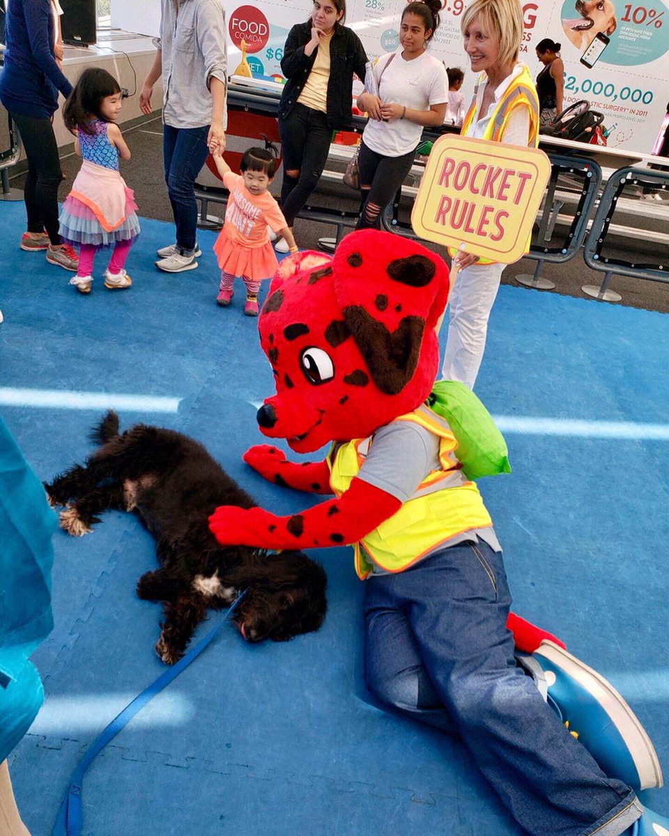 RocketRules1's tweet photo. We were honored to support the California Science Center’s #NationalPreparednessMonth Event! 🐶❤️
#DogsAScienceTail #SuperpowerDogs #PetSafety #PetPreparedness #TheHeroInYouFoundation #RocketRules #RocketRulesForSafety #StaySafe #EmergencyPreparedness https://t.co/ebyEEToucZ