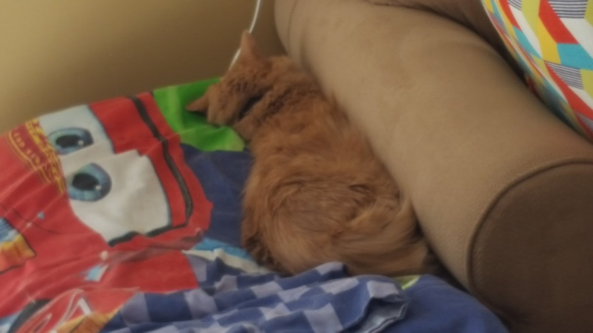 I sleep where I want.