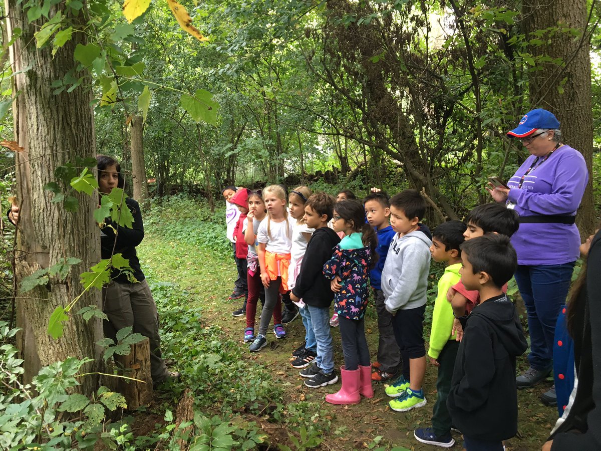 Miss Hillard's Class tweet media