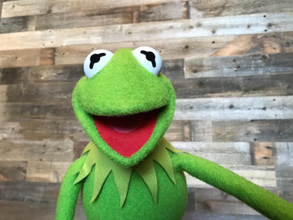 TheMuppets's tweet photo. Start your week with a smile! 😄 May we recommend a greater, greener grin like this one by @KermitTheFrog! https://t.co/jxFJavU6CC