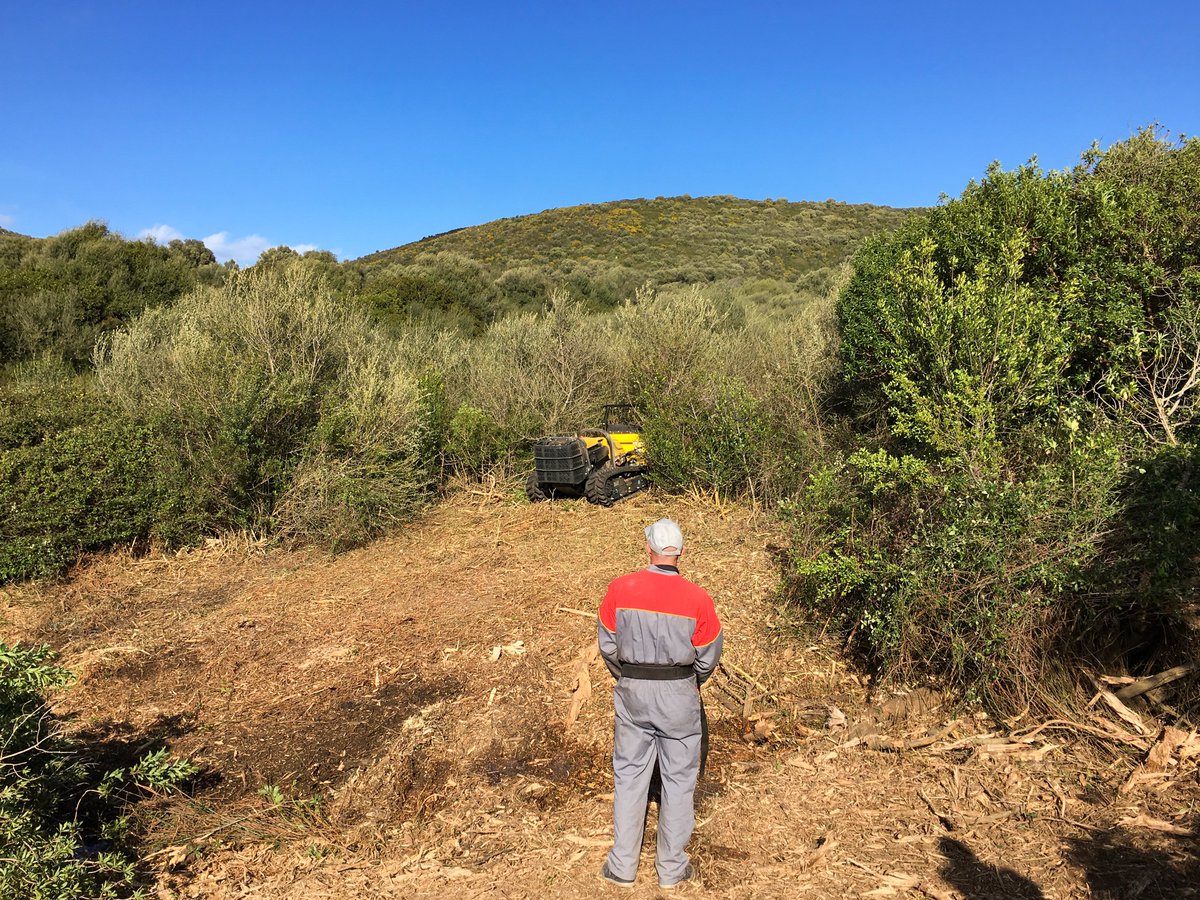 Energreenspa's tweet photo. RoboGREEN Evo immerso nel verde in operazione di sfalcio mentre lungo la strada si apprezza una ILF S1500 al lavoro in combinata con un braccio da 12 metri.
#RoboGREENevo #ILFs1500 #ProfessionalMachines #ToolsCarrier #Radiocomandato #Robo #Cutter #ILF #SelfPropelledMachines https://t.co/7Ets4AVLvt