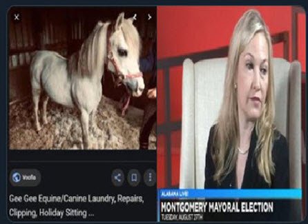 BobSimth7's tweet photo. BREAKING NEWS! Jehovah Dog's Wife Caught Red Handed w/ #Shannon Henry #Ferrari's wig, while out in field service!! The same wig that Shanno stole from Gee Gee The Wonder horse!! The wig flewed off her head! #ShannoGate #UnBeWeaveAble #FlyingWigs #CliponWigs #Montgomery #Jehovah https://t.co/W5a0QuaKzh