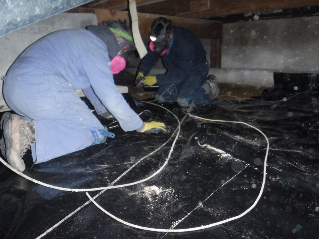 Celtic_Pest's tweet photo. Got a pest problem? Call us, and you won't have one anymore!
#CelticPest #PestControl https://t.co/nD6JoJawto