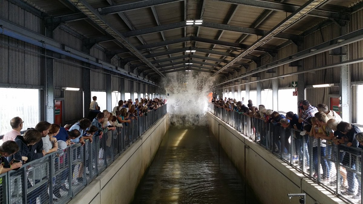 FZK_GWK's tweet photo. Der #Entdeckertag war ein voller Erfolg!!! Wir durften über 5000 Besuchern unsere Versuchseinrichtungen präsentieren und hoffen, dass allen Gästen dieser Tag so nachhaltig in positiver Erinnerung bleiben wird wie uns. Vielen Dank an alle Beteiligten für diesen schönen Tag😀. https://t.co/1L57rtiu54