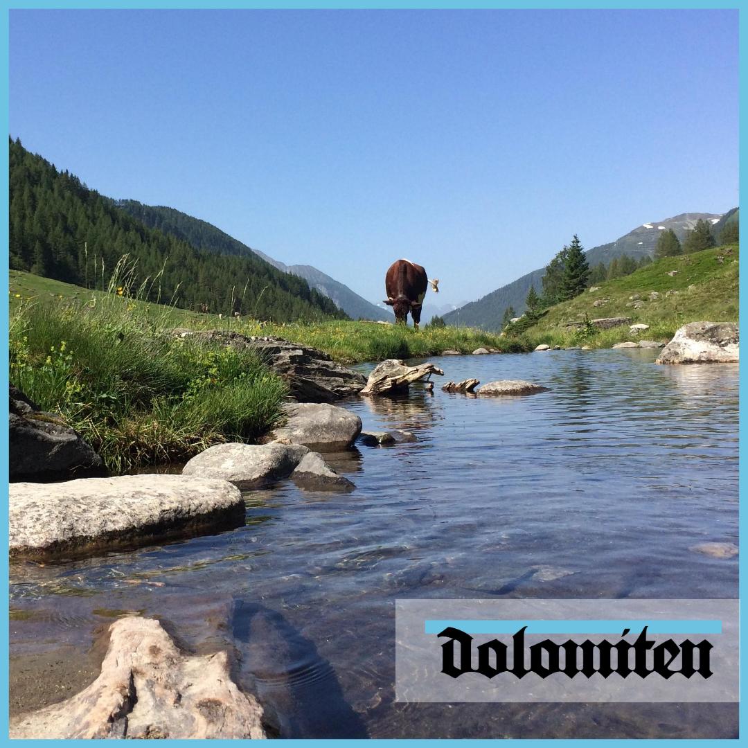 TagblattD's tweet photo. Annelies Niederegger hat uns dieses tolle #Foto aus #Kasern im #Arhntal geschickt. Sie schreibt: "Kehre ein in den Luxus und die Schönheit des Einfachen" - Danke! 😮😮😮 https://t.co/5HHDAv87Lf