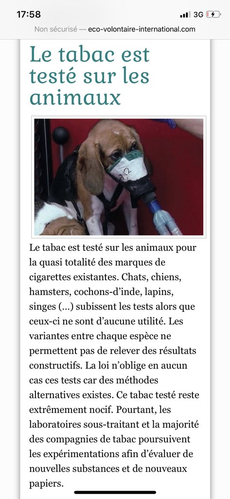 angelwild_6's tweet photo. Voici la face cachée du commerce du tabac. 
La quasi totalité des marques de tabac sont testées sur les animaux.
Les gérants de ces labos affirment que si les clients voyaient l’état des animaux, ils perdraient énormément d’argent.
Certaines marques de tabac sont non testées https://t.co/tDsC1Pxoor