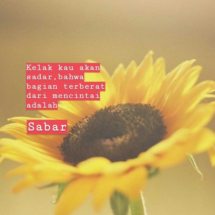 Kelak kau akan sadar,  bahwa bagian terberat dari mencintai adalah sabar #ceritaharisenin