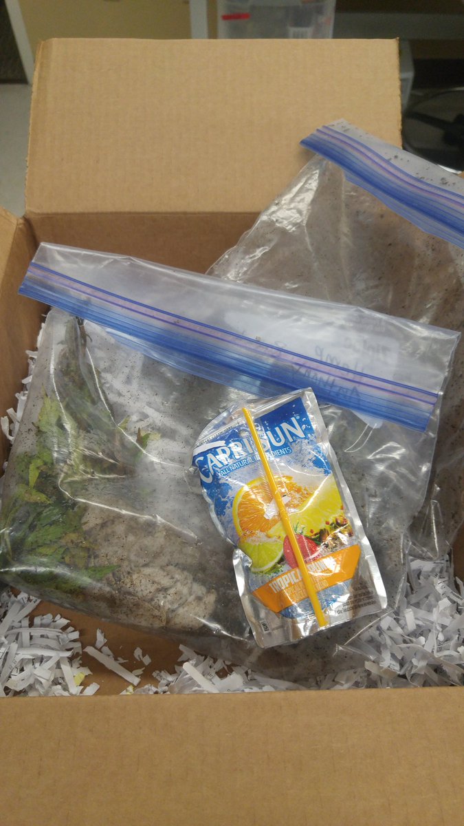 We've seen a lot of creative shipping but this was this first Capri Sun ice pack!
