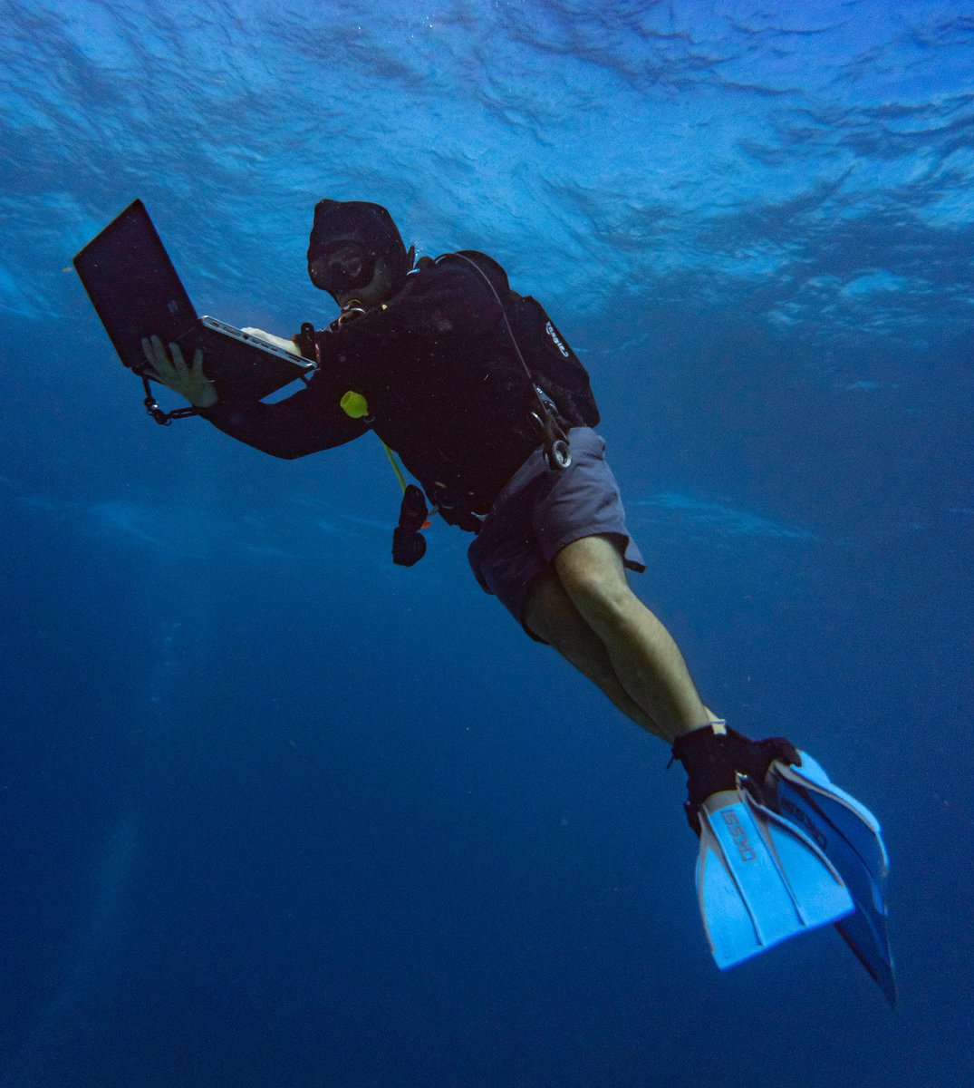 securitytrails's tweet photo. Did you know that true nerds bring their laptops underwater? 😎

https://t.co/Yt4KnRbVdq https://t.co/jVmsRuV3Gk