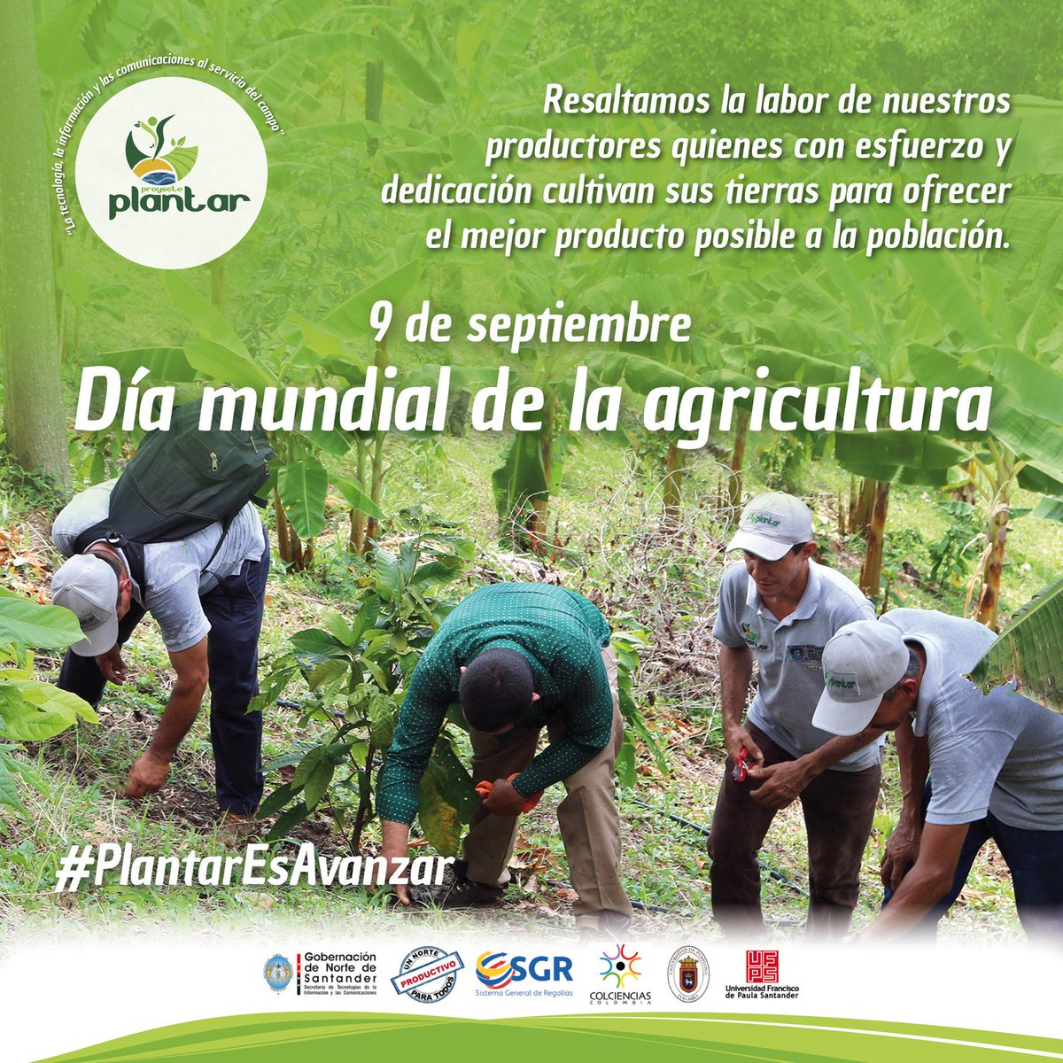 ProyectoPlantar's tweet photo. #PlantarEsAvanzar

Gracias a cada una de las familias productoras por todo el esfuerzo para cosechar de la mejor manera sus tierras. ¡Entre todos fortalecemos el campo! #DíaMundialDeLaAgricultura https://t.co/FKil6aBTTk