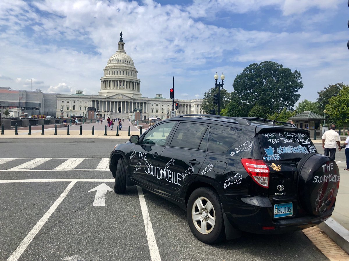 SarahMackAttack's tweet photo. Whaddup, America!
The squidmobile’s about to go from sea to shining sea!
(Which I can no longer think about without acknolwedging that it’s across stolen land).
Got TWO honks from pedestrians already. Way to go, D.C.
#SquidsAcrossAmerica https://t.co/oKdmjDe1ls